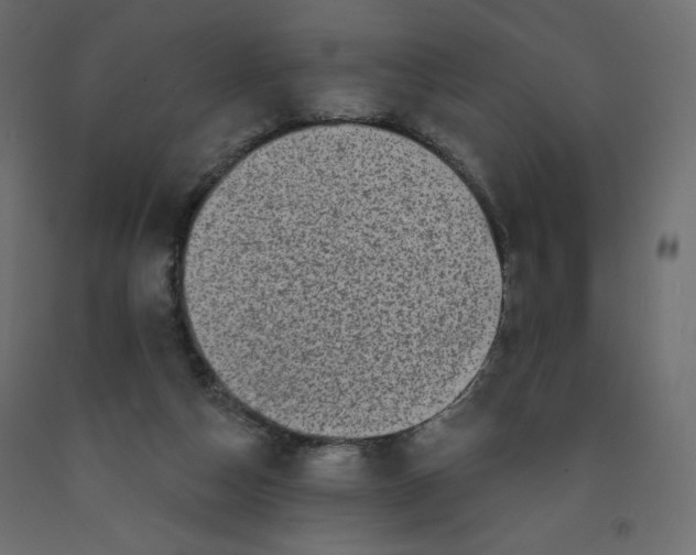 X0000091950162200710041015