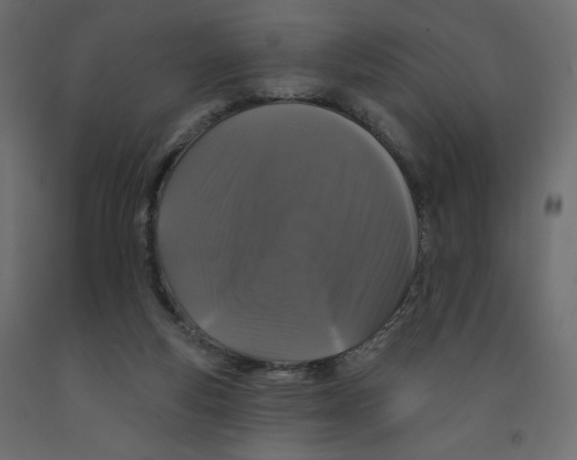 X0000091950163200710041015