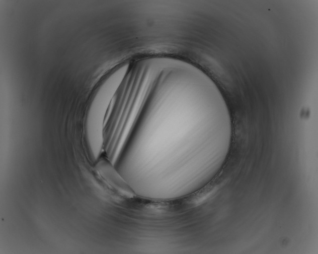 X0000091950164200710041015