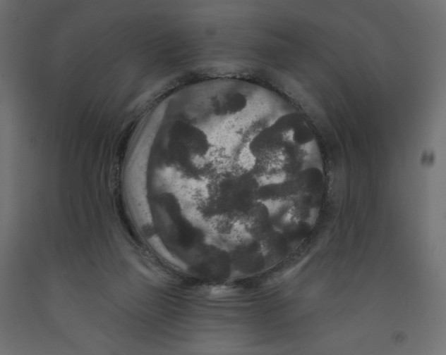 X0000091950165200710041015