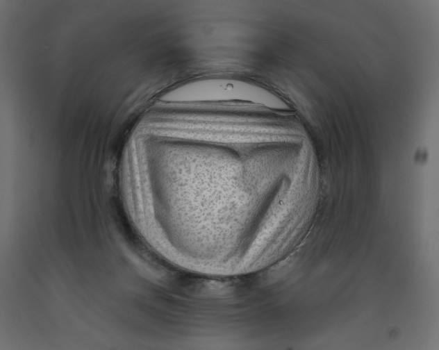 X0000091950166200710041015