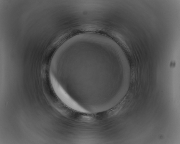 X0000091950167200710041015