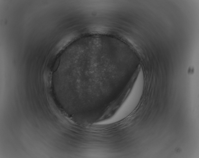 X0000091950168200710041015