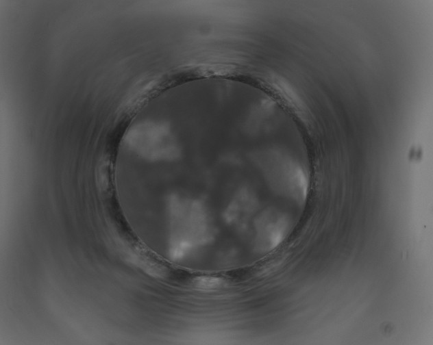 X0000091950169200710041015