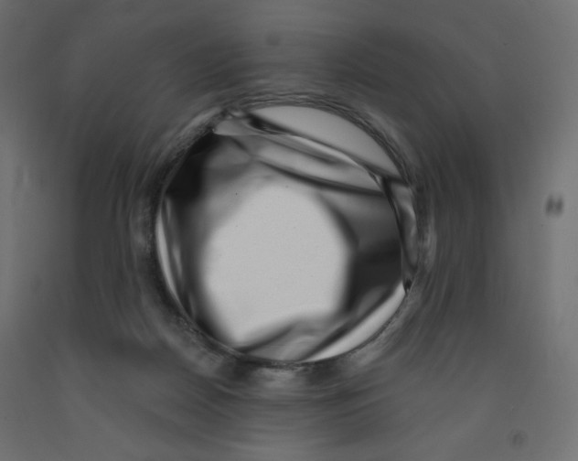 X0000091950170200710041015