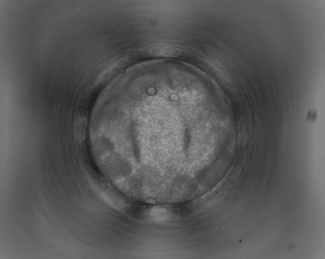 X0000091950171200710041015