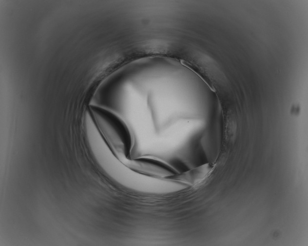 X0000091950172200710041015