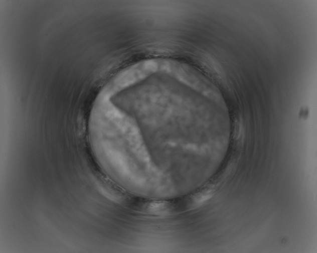 X0000091950173200710041015