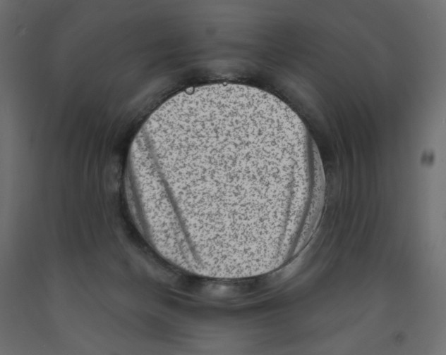 X0000091950174200710041015