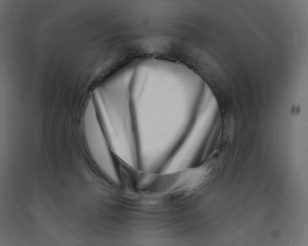 X0000091950176200710041015