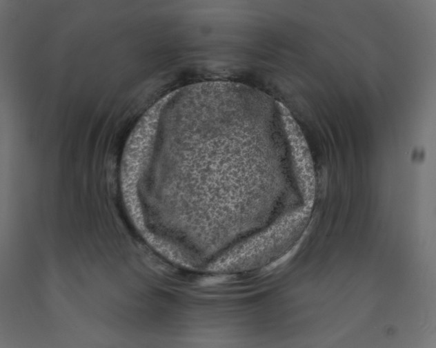 X0000091950178200710041015