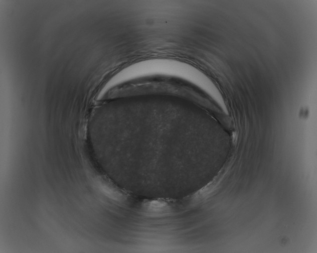 X0000091950180200710041015