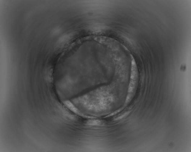 X0000091950181200710041015