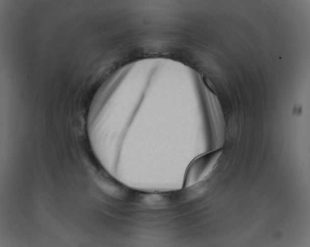 X0000091950183200710041015