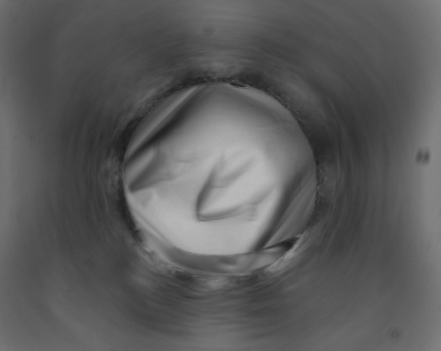 X0000091950184200710041015