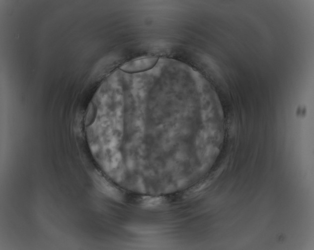 X0000091950185200710041015
