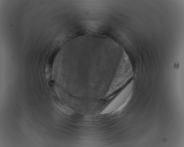 X0000091950186200710041015