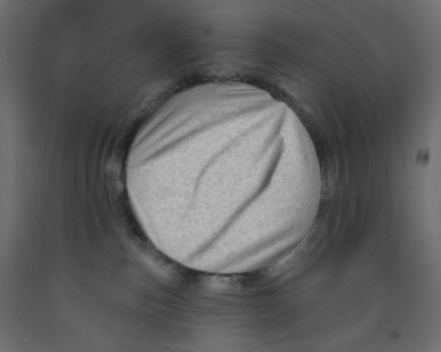 X0000091950187200710041015