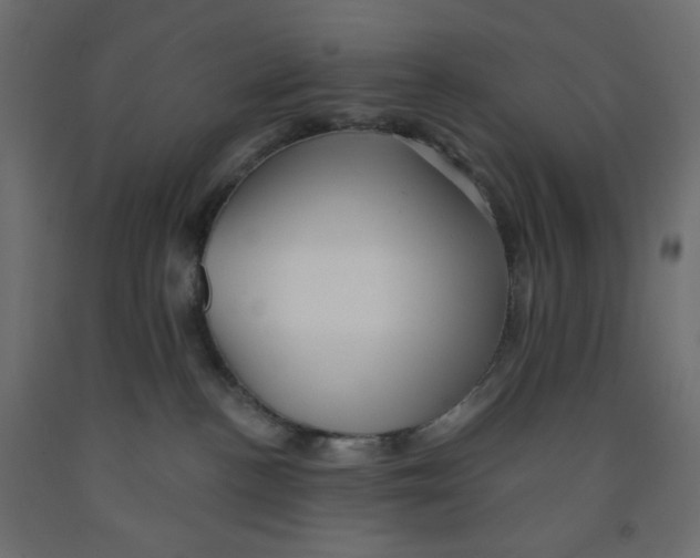X0000091950188200710041015