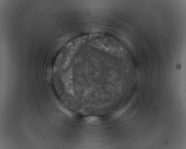 X0000091950189200710041015
