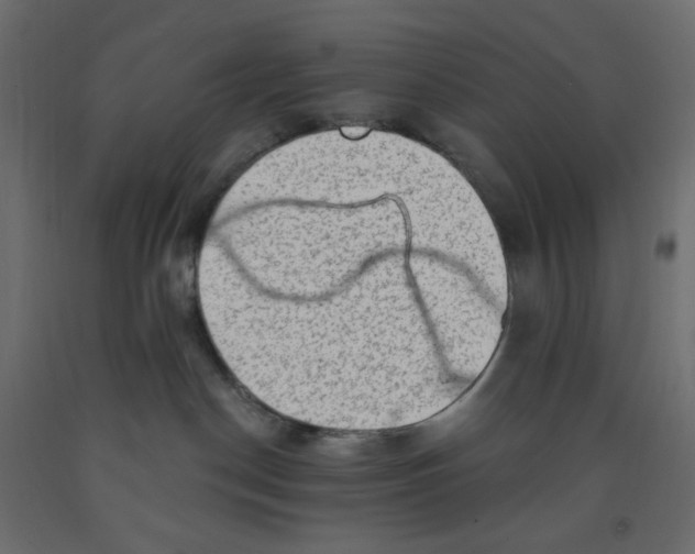 X0000091950190200710041015
