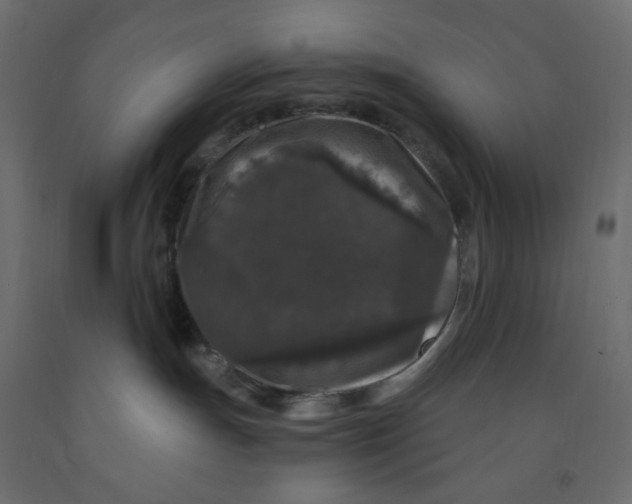 X0000091950191200710041015
