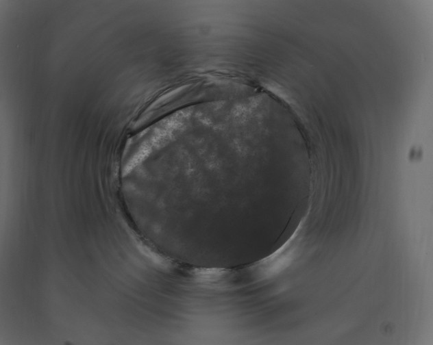 X0000091950192200710041015