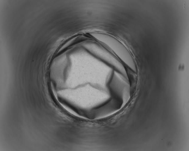 X0000091950193200710041015