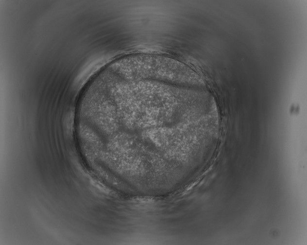 X0000091950194200710041015