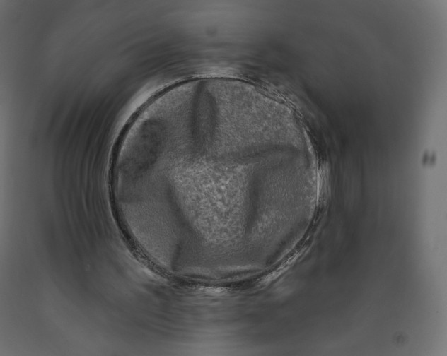 X0000091950195200710041015