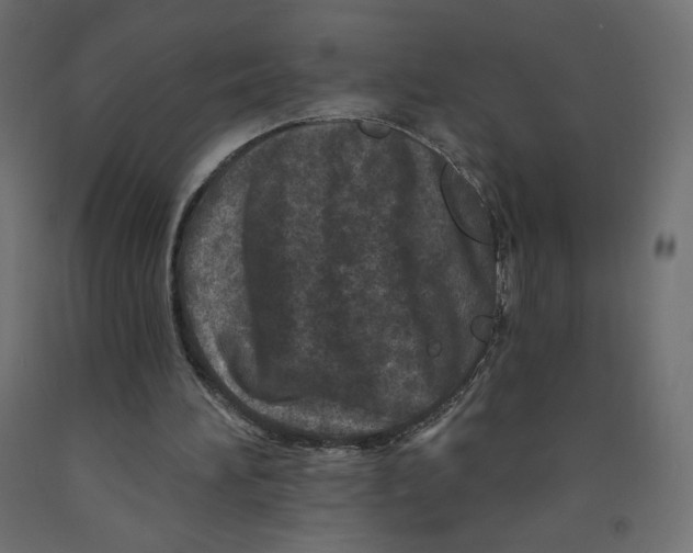 X0000091950196200710041015