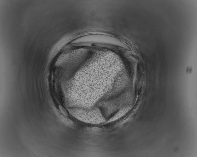 X0000091950197200710041015