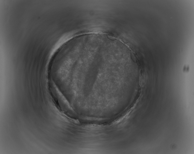 X0000091950198200710041015