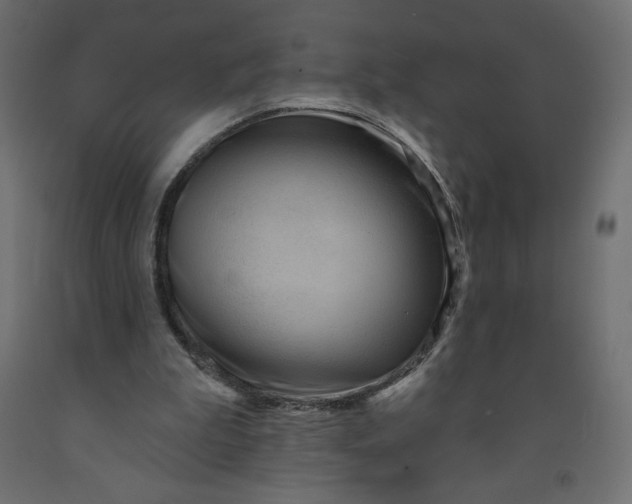 X0000091950199200710041015