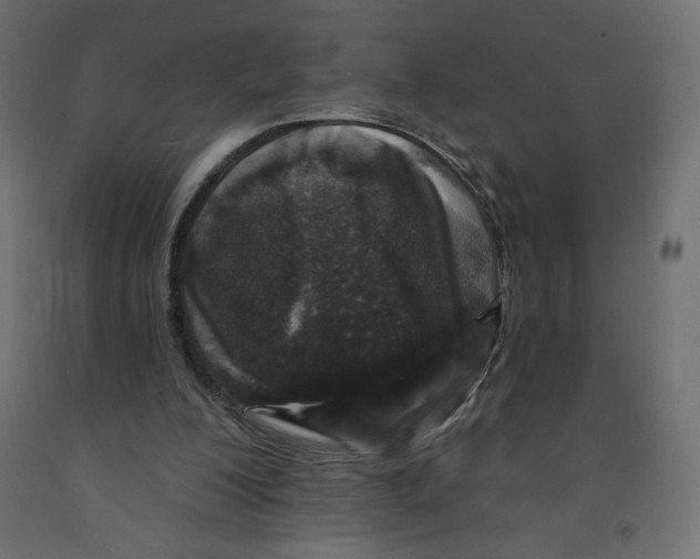 X0000091950200200710041015