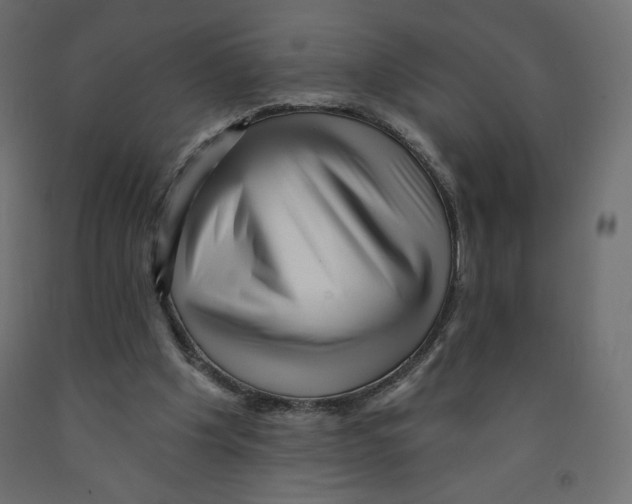 X0000091950201200710041015
