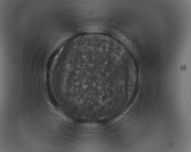 X0000091950202200710041015
