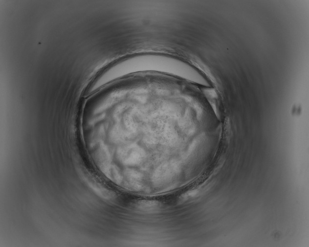 X0000091950203200710041015