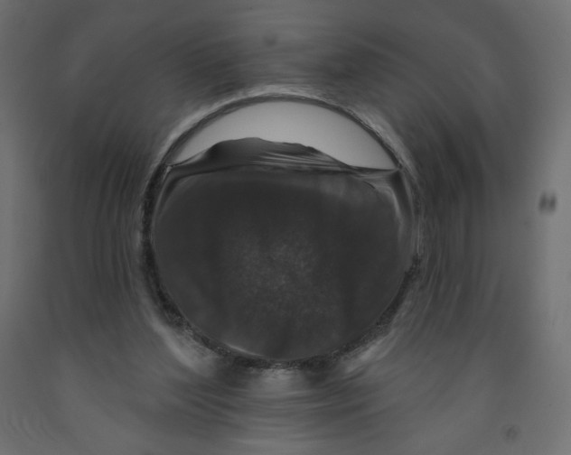 X0000091950204200710041015