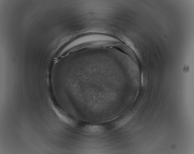 X0000091950205200710041015