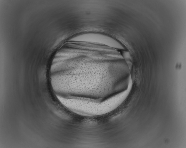 X0000091950207200710041015