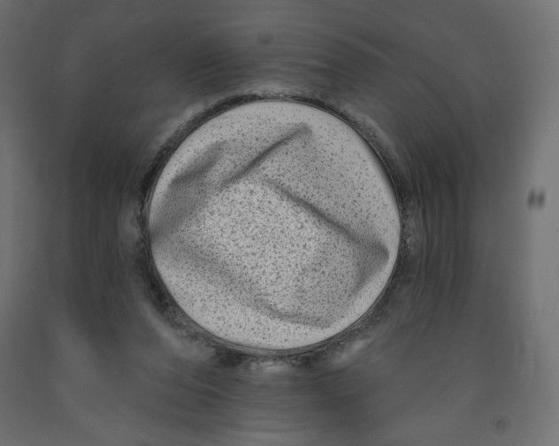 X0000091950208200710041015