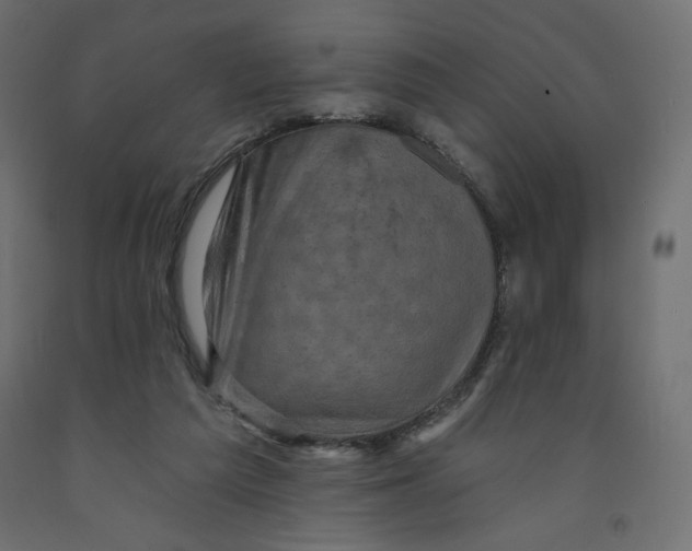 X0000091950209200710041015