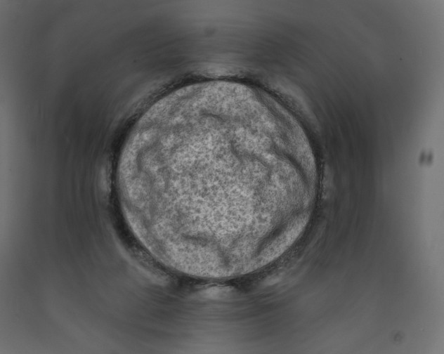 X0000091950210200710041015