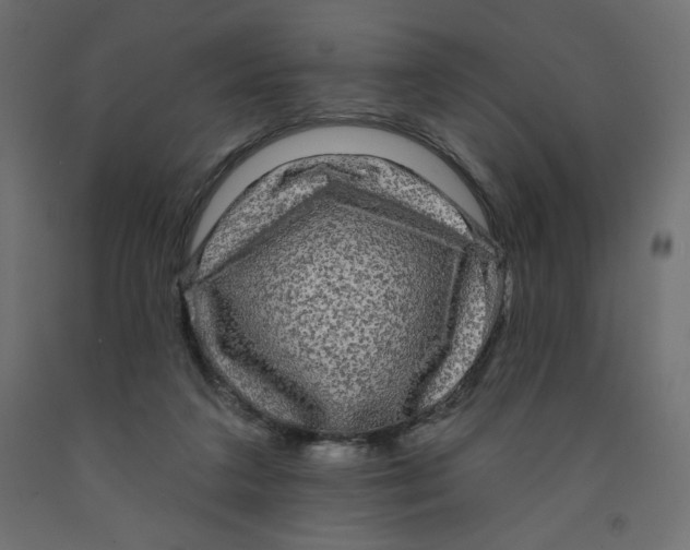 X0000091950211200710041014