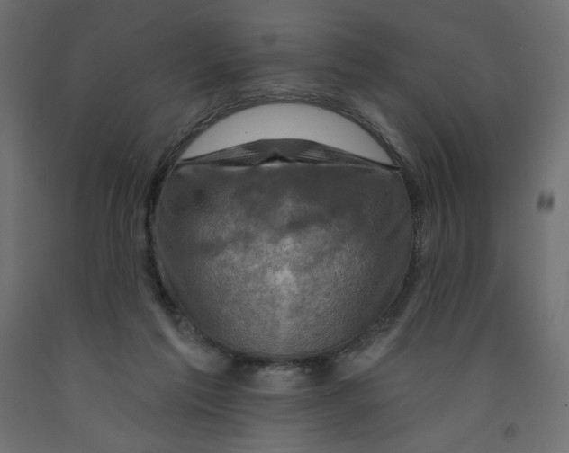 X0000091950213200710041014