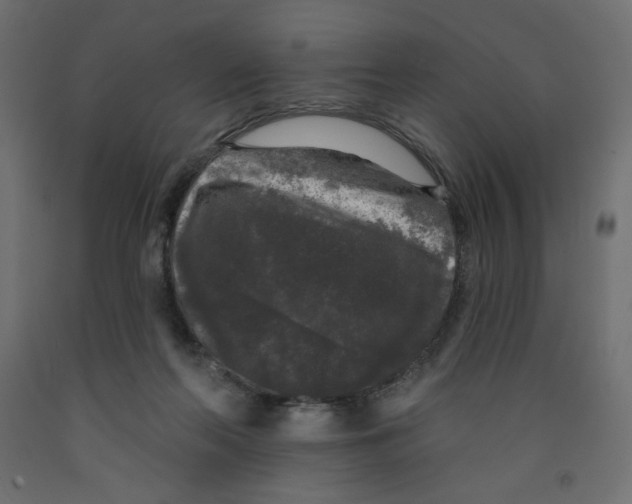 X0000091950214200710041014