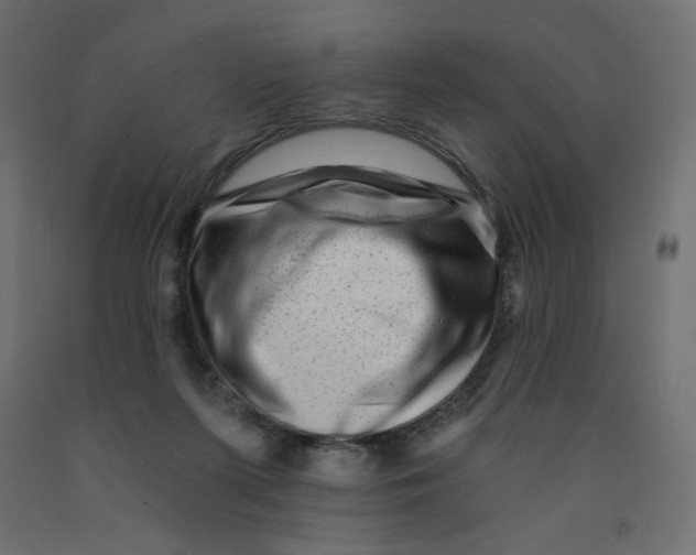 X0000091950215200710041014