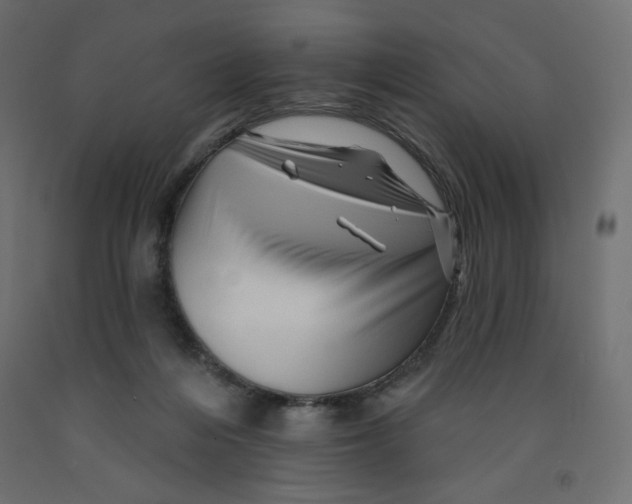 X0000091950216200710041014