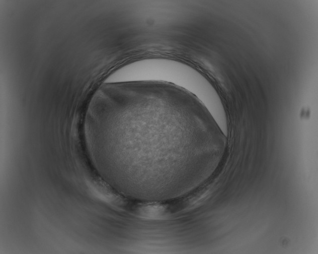 X0000091950217200710041014